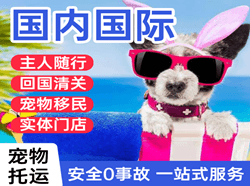 乌兰浩特义勒力特机场空运国际宠物托运 【国